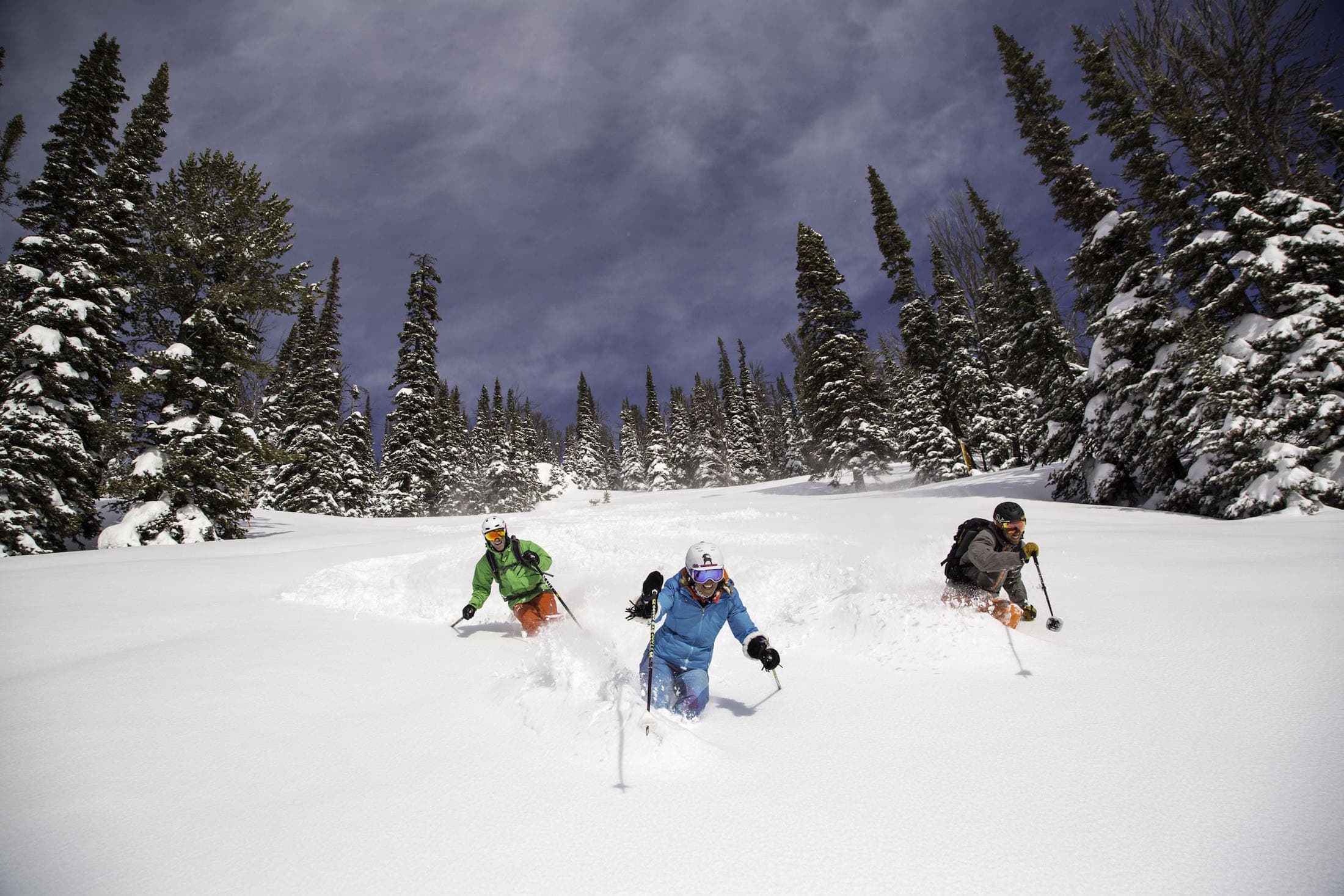 A photo of a group of three people ski down a powder snow hill