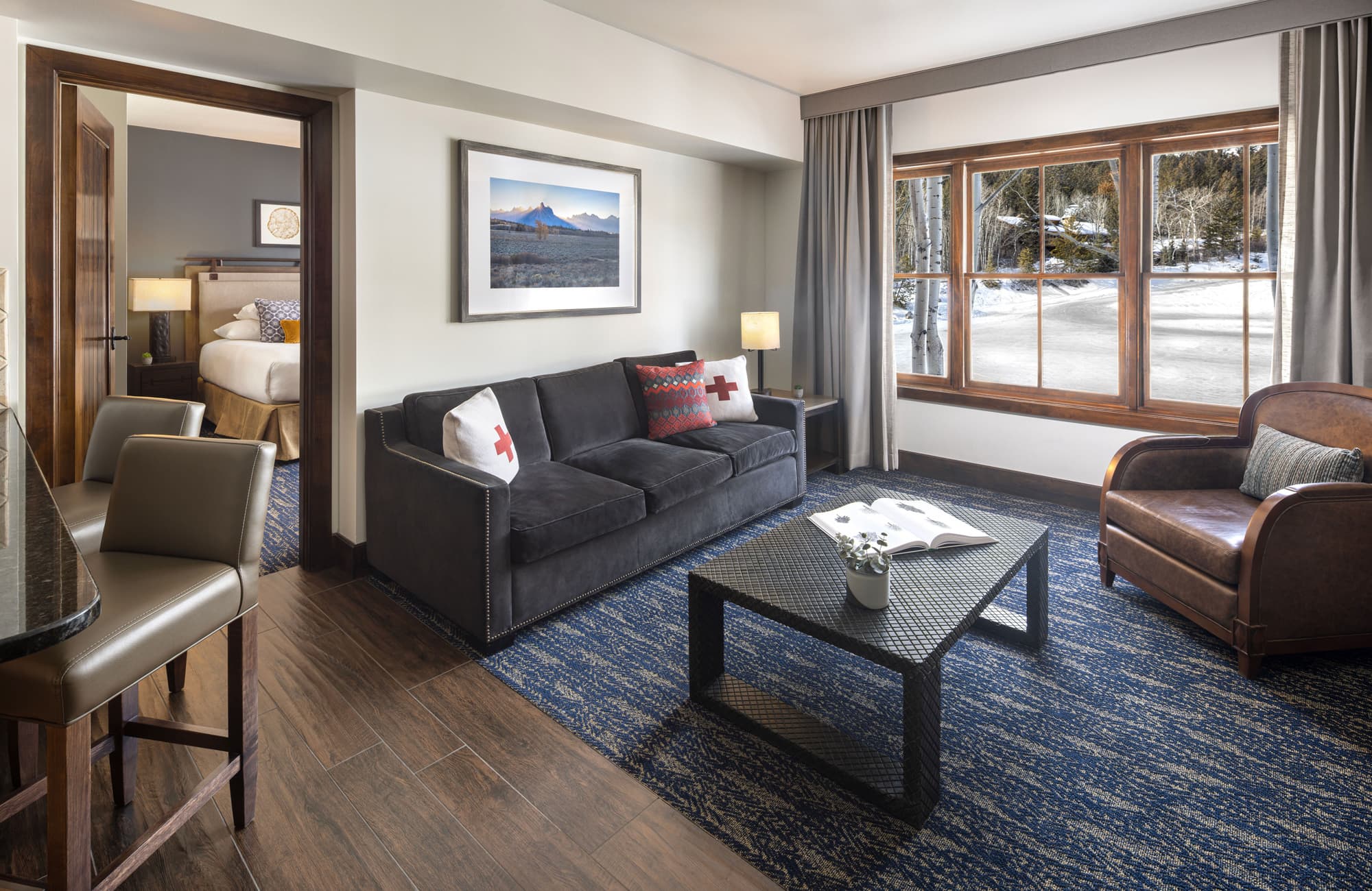 Living Room And Bedroom