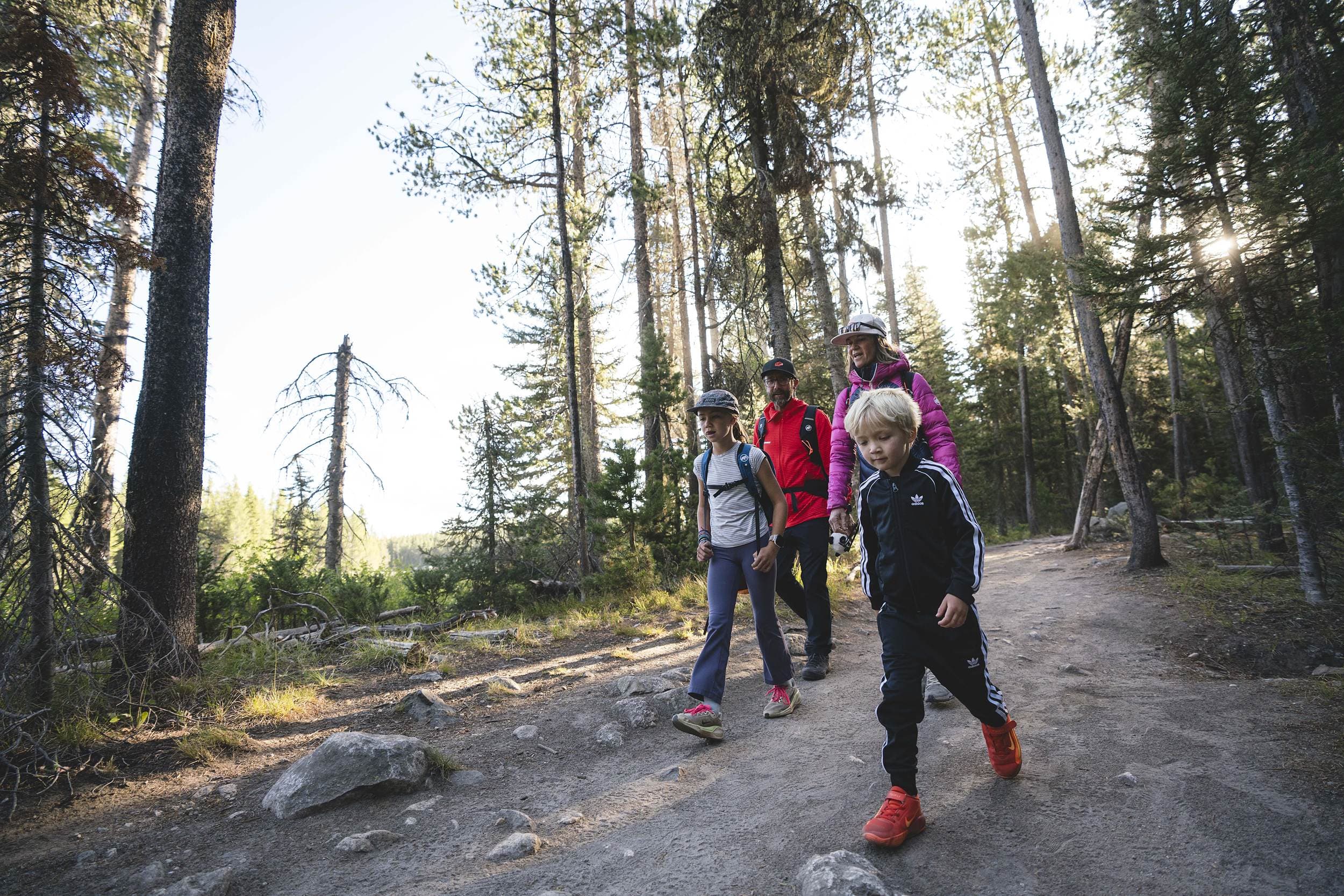 Family hiking a forested trail near Teton Mountain Lodge in Jackson Hole, Wyoming
