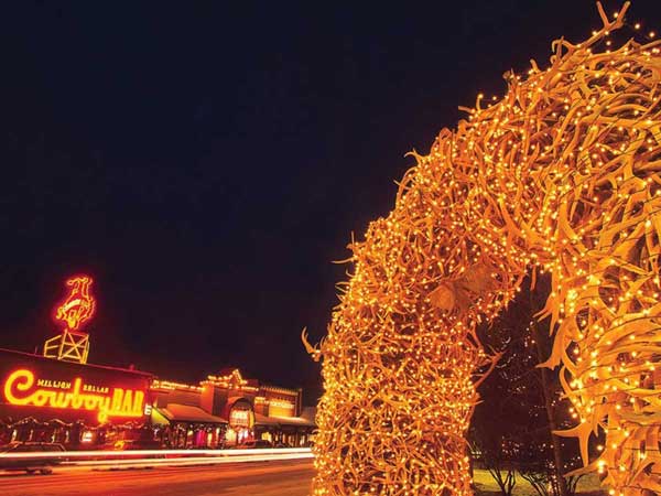Antler tunnel in Jackson Hole