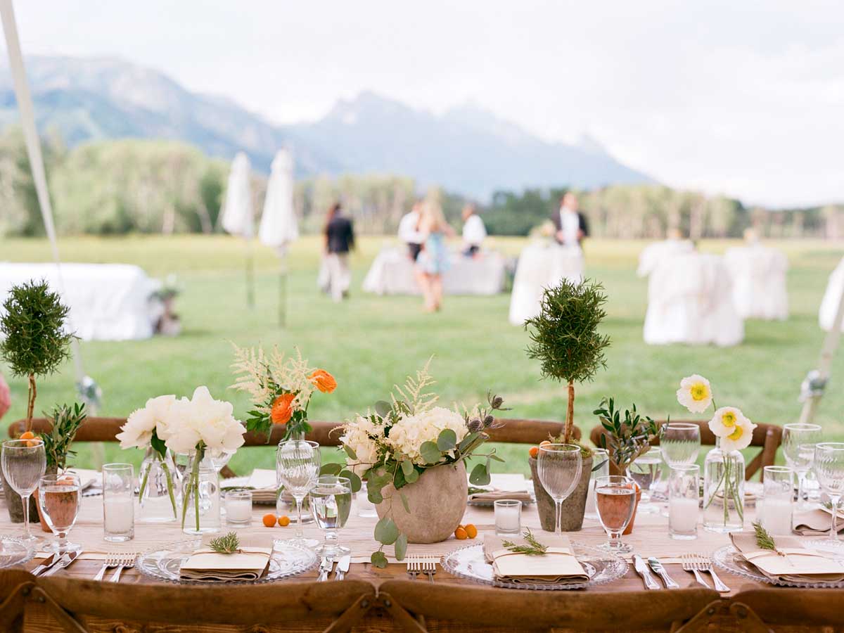 Teton wedding reception