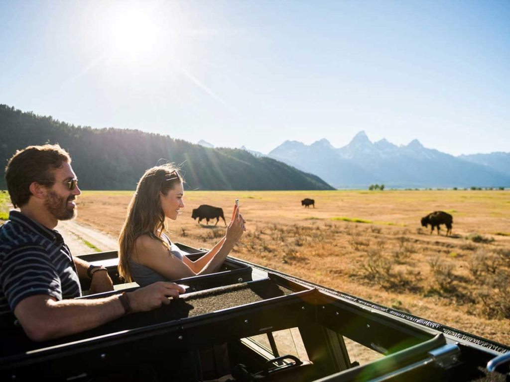 couple watching bison near Jackson Hole, WY