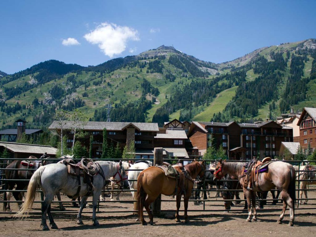 Horse ranch in Jackson Hole, WY
