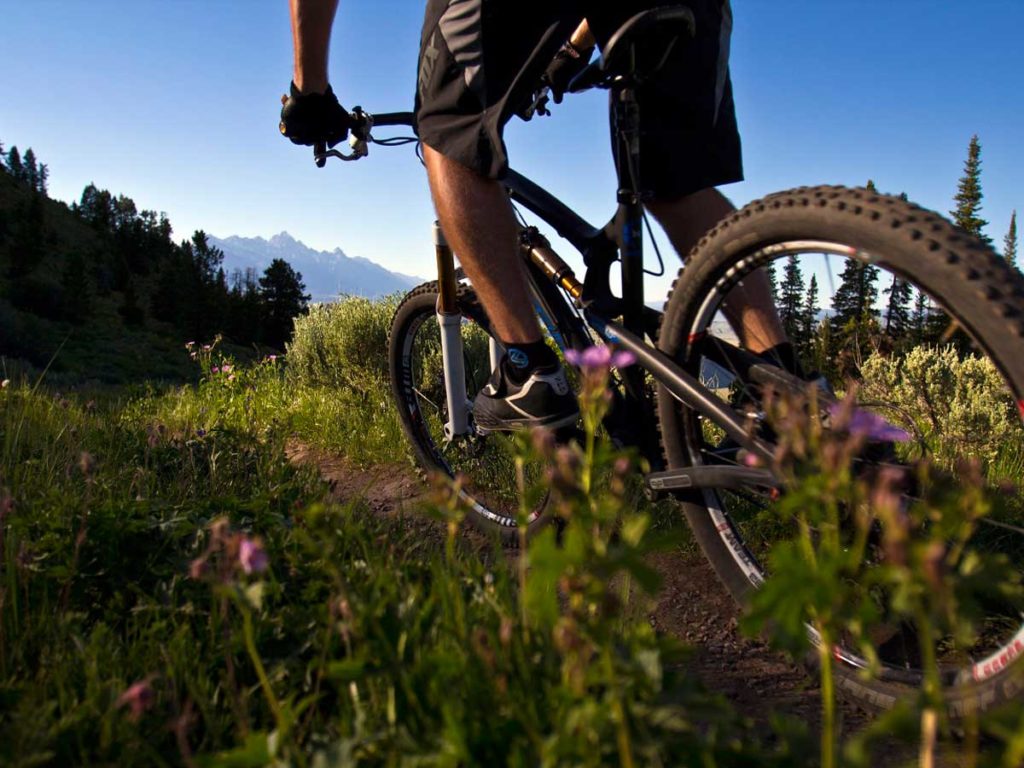 Mountain biking near Jackson Hole, WY