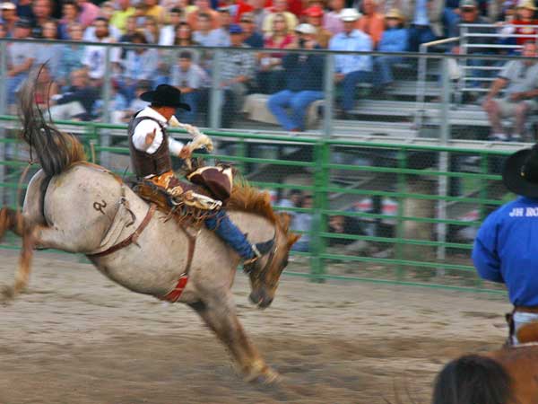 Jackson Hole Rodeo