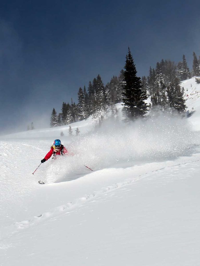 skiing powder in Jackson Hole, WY