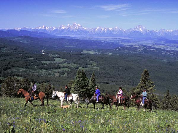 A guided horseback riding trip.