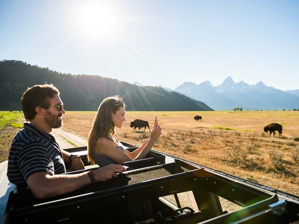 A couple looking at bison on a wildlife tour.