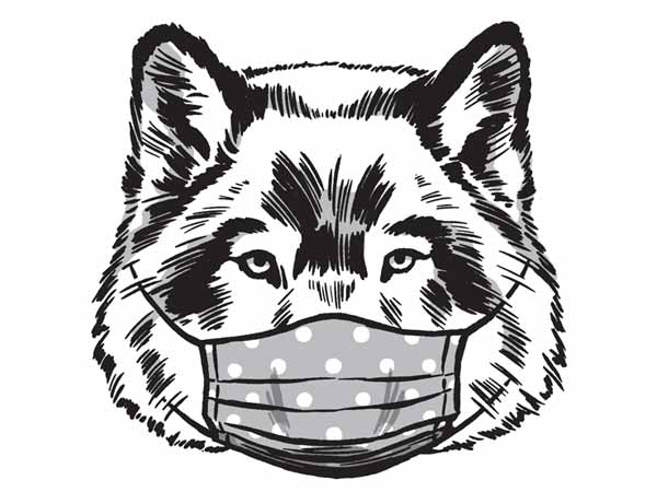graphic Bear With Mask
