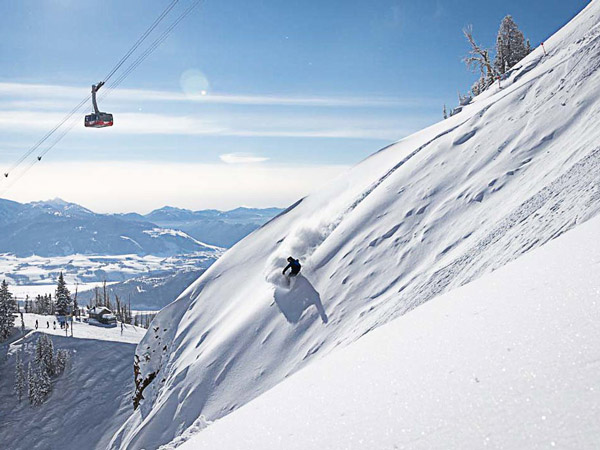 Skier under the Jackson Hole tram.