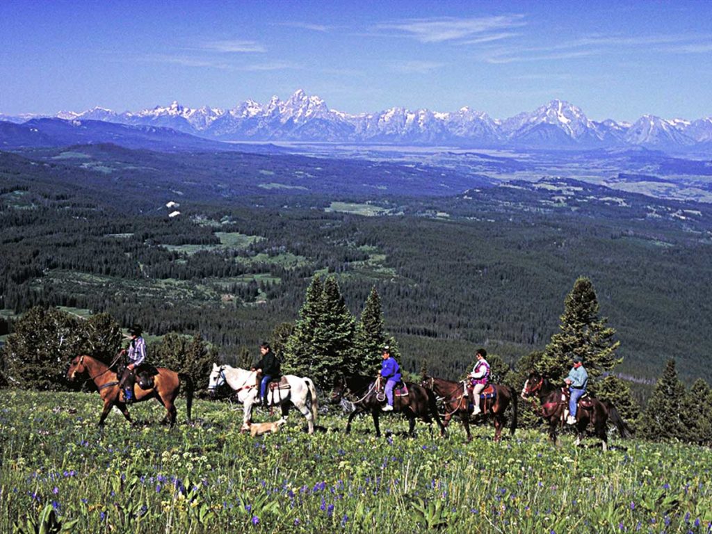 Horesback Riders.
