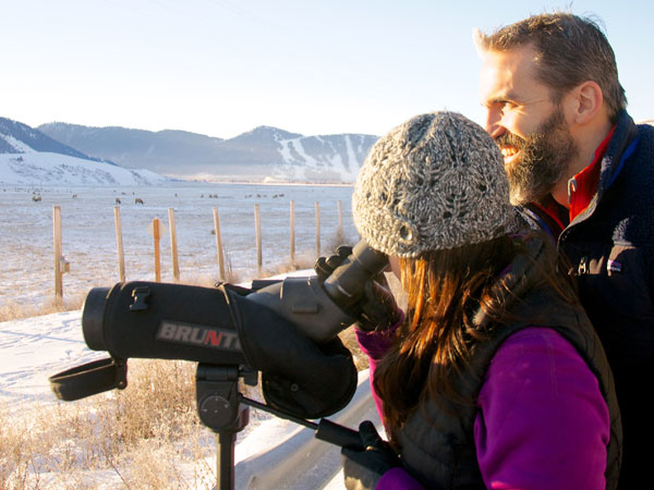 Looking Through Scope