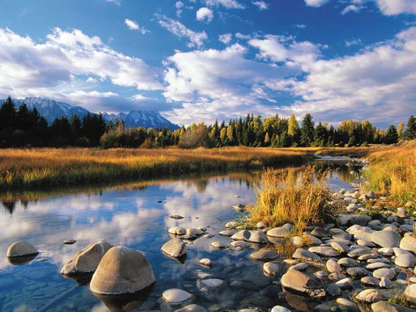 river fall scenery